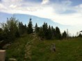 /album/hartmanice-jezero-laka-prasilske-jezero-polednik/img-0920-jpg/